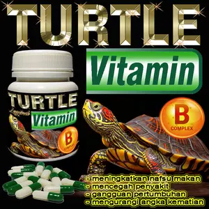 30 KAPSUL TURTLE VITAMIN BUBUK KAPSUL SUPLEMEN KESEHATAN KURA-KURA AIR BRAZIL RES CST AST DAMER KURA AMBON PIPUT MONBI RAZOR STINKPOT PICTA OBAT MENAMBAH NAFSU MAKAN MENCEGAH PENYAKIT KEKURANGAN VITAMIN B COMPLEX MENYEMBUHKAN GANGGUAN PERTUMBUHAN HEWAN