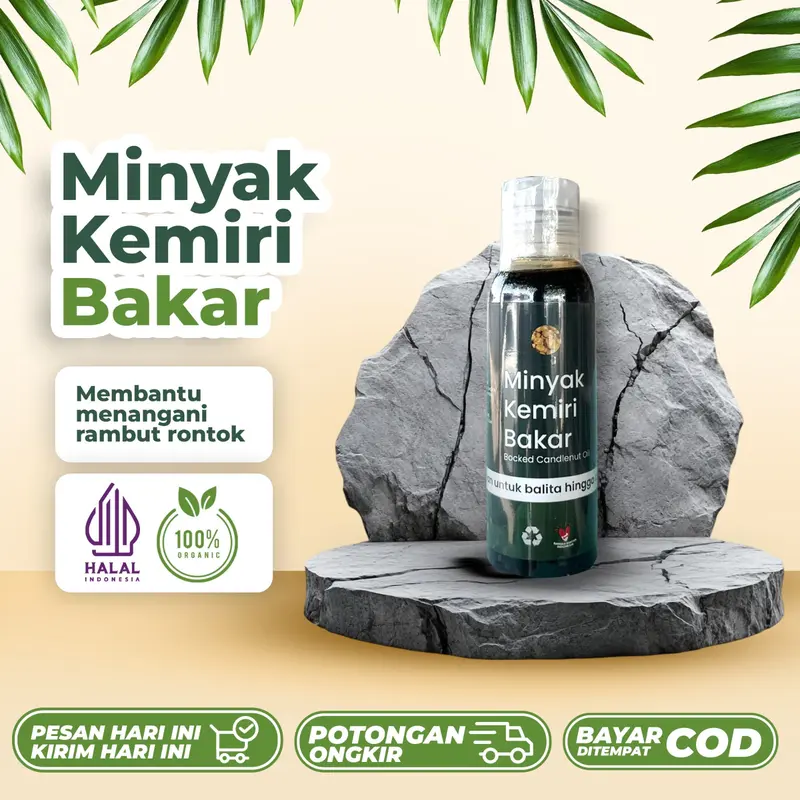 Minyak kemiri bakat original asli 100% penumbuh rambut botak, rontok, dan pelebat rambut, mencegah uban 0