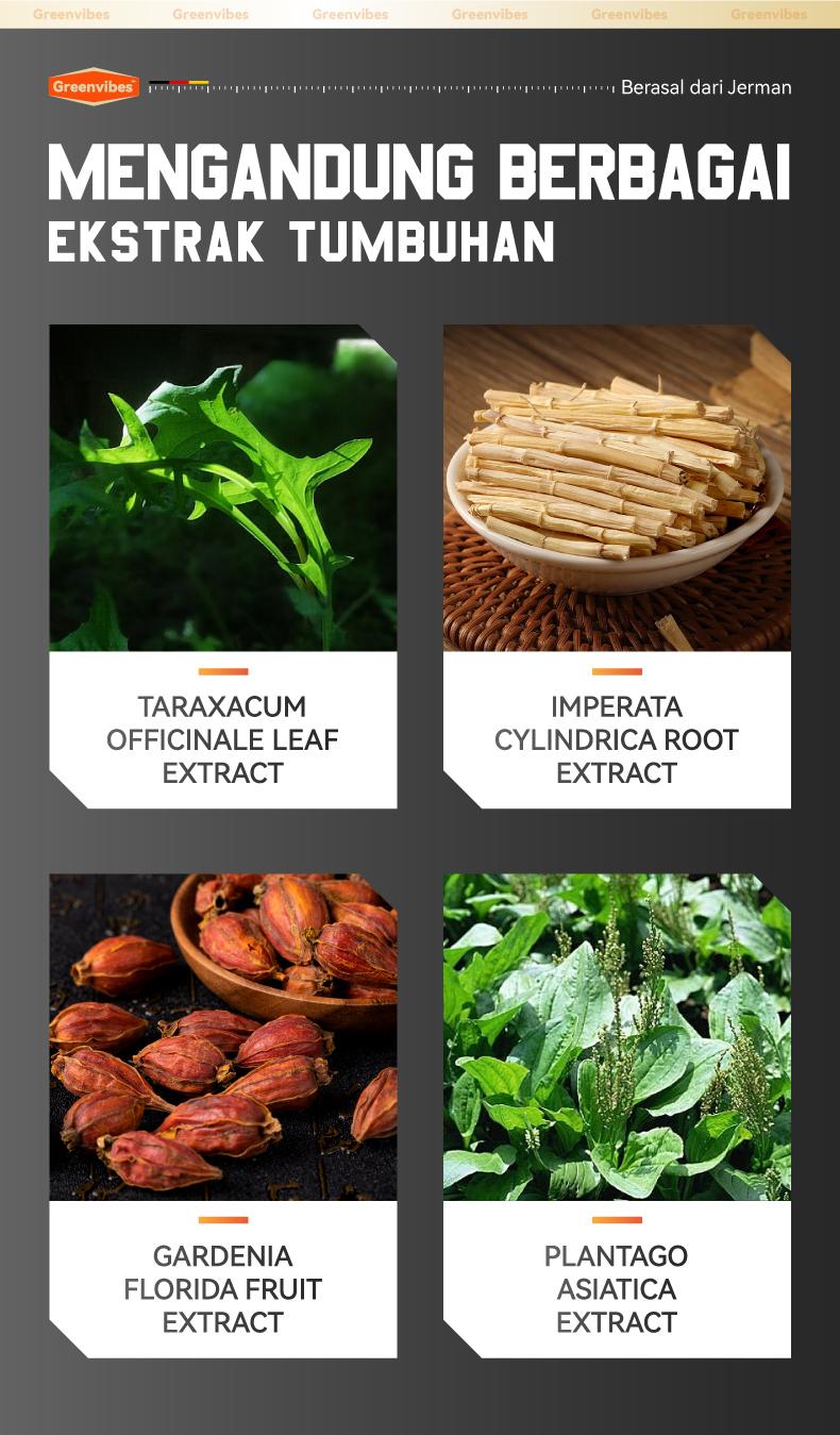 Greenvibes Gel Herbal Pria – Perawatan Sehari-hari dengan Ekstrak Alami