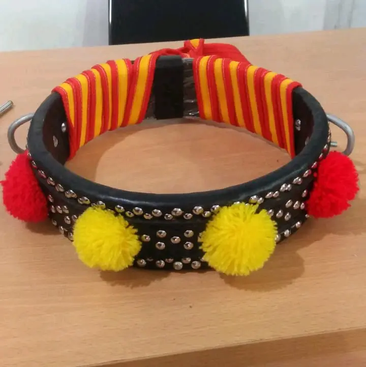 KALUNG / GONGSENG DOMBA FULL KULIT ASLI