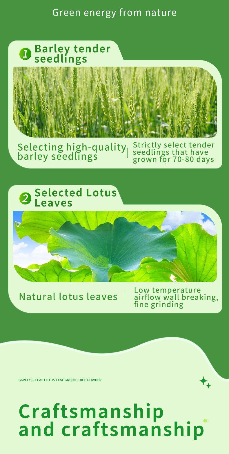 Product Introduction of [GRATIS ONGKIR KHUSUS PULAU JAWA, PULAU LAIN SUBSIDI ONGKIR] Jus salad sayuran instan, bubuk salad buah dan sayur untuk tubuh yang bugar, jus buah dan sayuran probiotik [produk ini juga dipakai oleh artis korea] 4