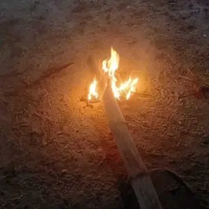 Molase Tetes Tebu Kental Tanpa Campuran 1kg - Pakan Ternak, Pertanian dan Perikanan