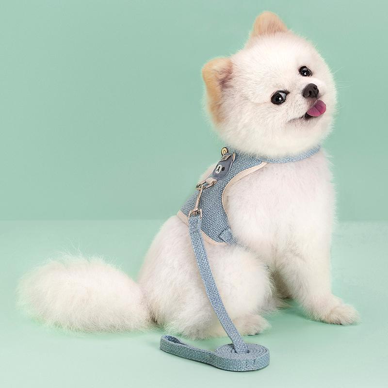 Product Introduction of Cute Pet Harness Leash Set for Small Mid Dogs Cat Walking Lead Chihuahua Bunny Vest Harness Poodle Collar Leash Dog Accessories 16