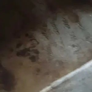 Bahan Butiran Perak Silver Murni Granule Harga Pergram Termurah