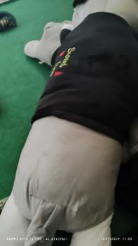 Product Review of Boneka Kucing Lying Rebah Ukuran 1 Meter - Toys (1 Buah) from ༄**࿐ 1