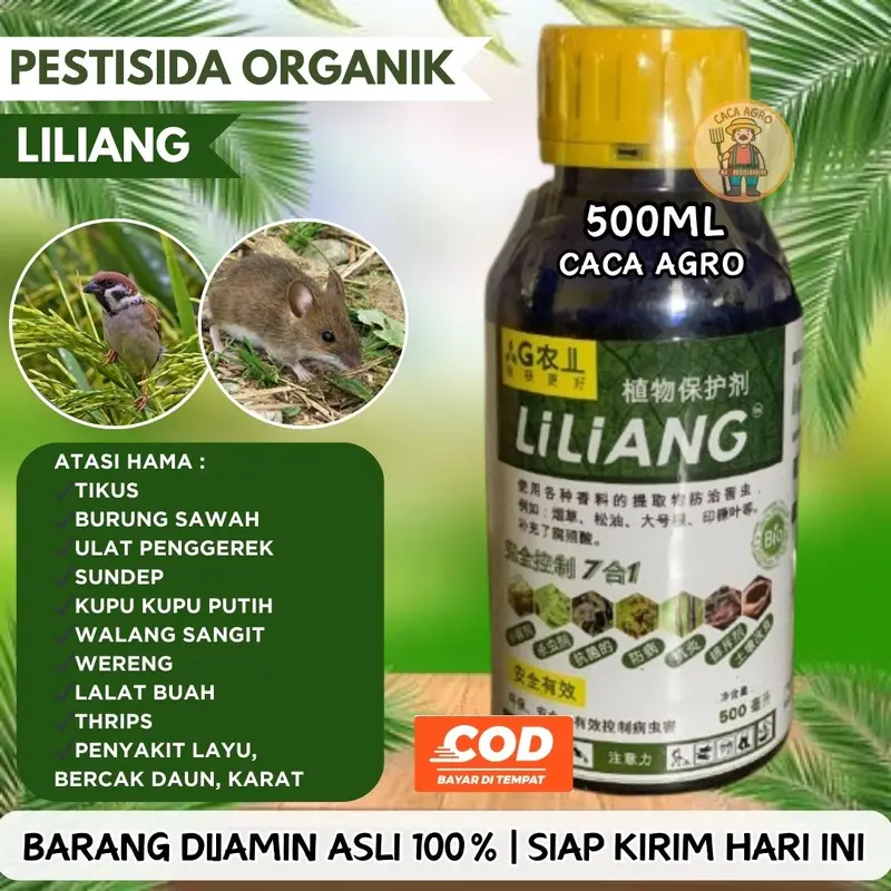 LILIANG Pestisida Ampuh Mengendalikan Hama Tikus dan Burung Sawah 2