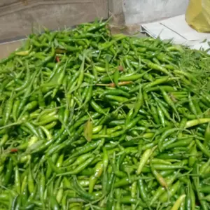Cabe Cabai Rawit 1/2 kg Fresh Baru Petik - Bahan Masakan Segar