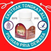 Gambar Alinesia Kapsul Ekstrak Tongkat Ali [BPOM] dari DeherbaStore Kota Bogor 1 Tokopedia