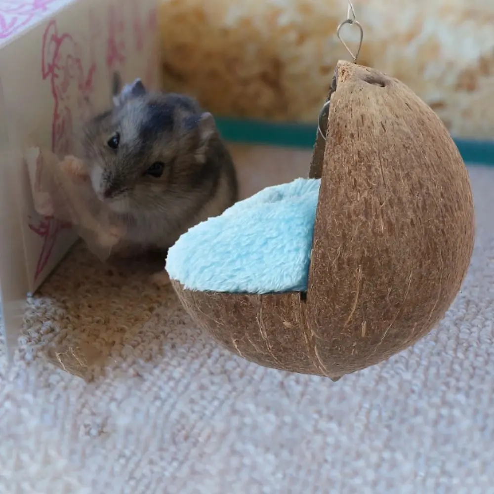 Creative Hanging Hamster Coconut Shell Nest Warm Natural Coconut Shell Coconut Shell Bird Nest House Half Circular Hamster Nest Random Color Nest Cushion Guinea Pig Hanging Bed Pet Cage