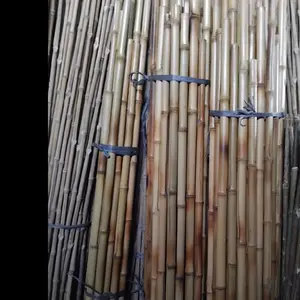 1 batang LC bambu cendani tongkat pramuka 160cm