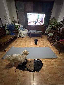 Product Review of FUYOGI Yoga Mat for Workout 8MM TPE Non-Slip with Bag+Bandage Fitness Thickened Beginner Exercise Mat from a**l 0