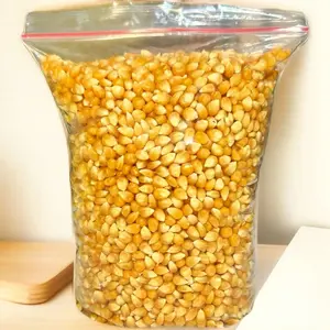 Jagung Popcorn Mentah Original Asli Argentina NON GMO  500 gram