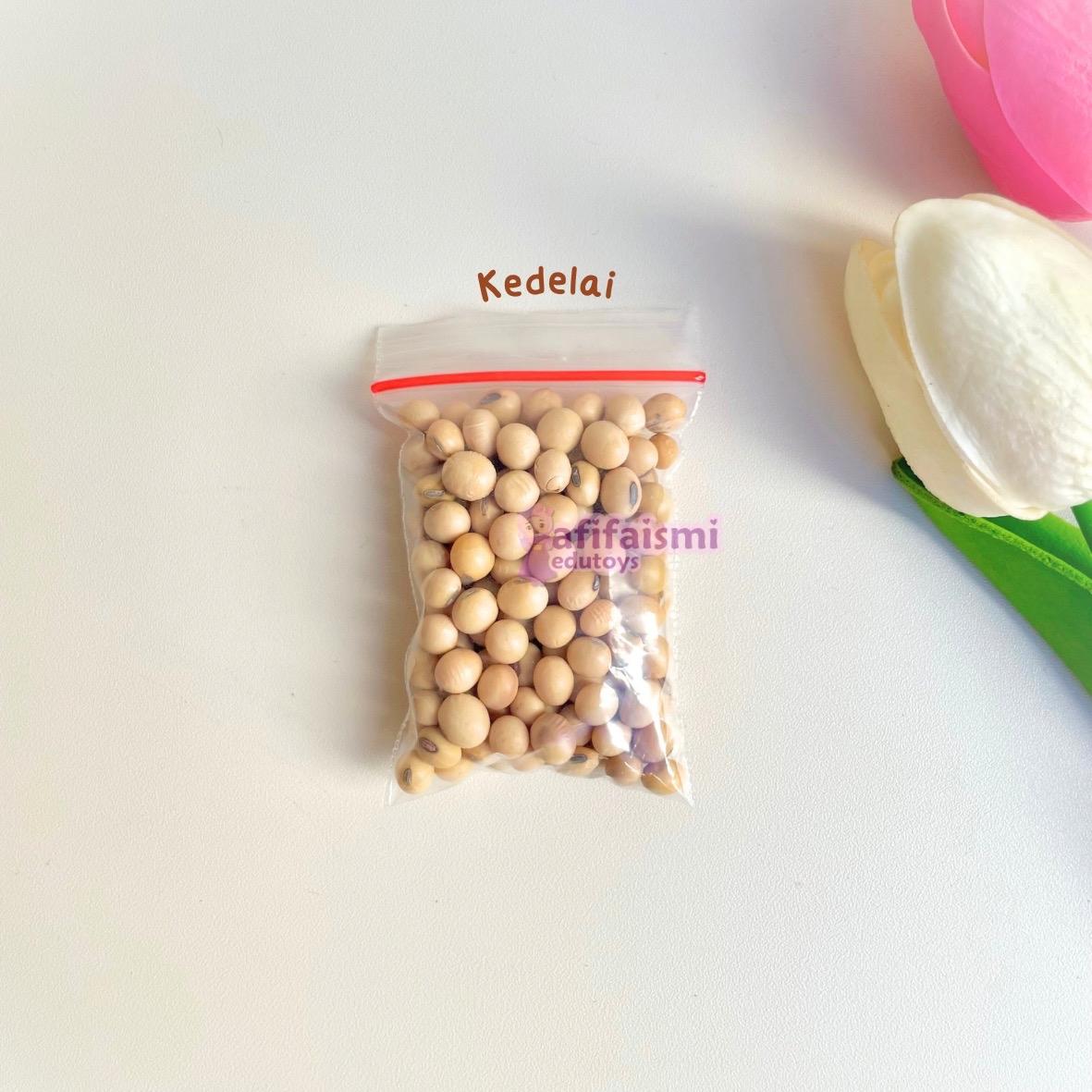 Bahan Kolase Prakarya Anak Biji bijian - Biji-bijian Ecer Satuan TERLENGKAP - Toys