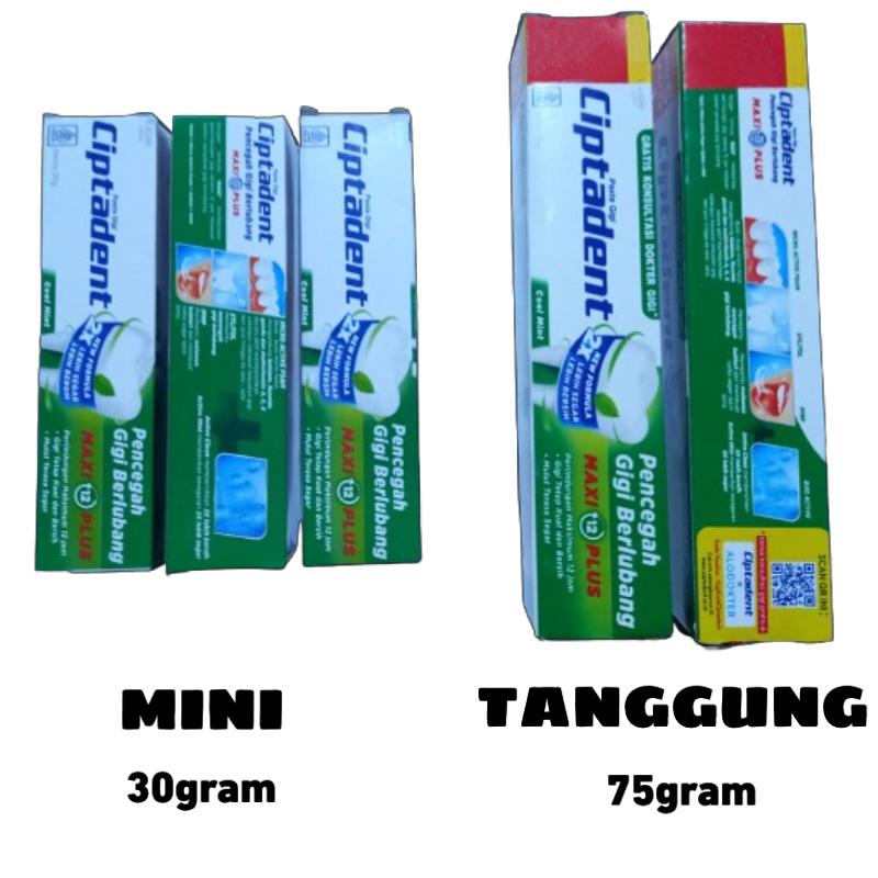 3 pasta Gigi CIPTADENT Toothpaste 1