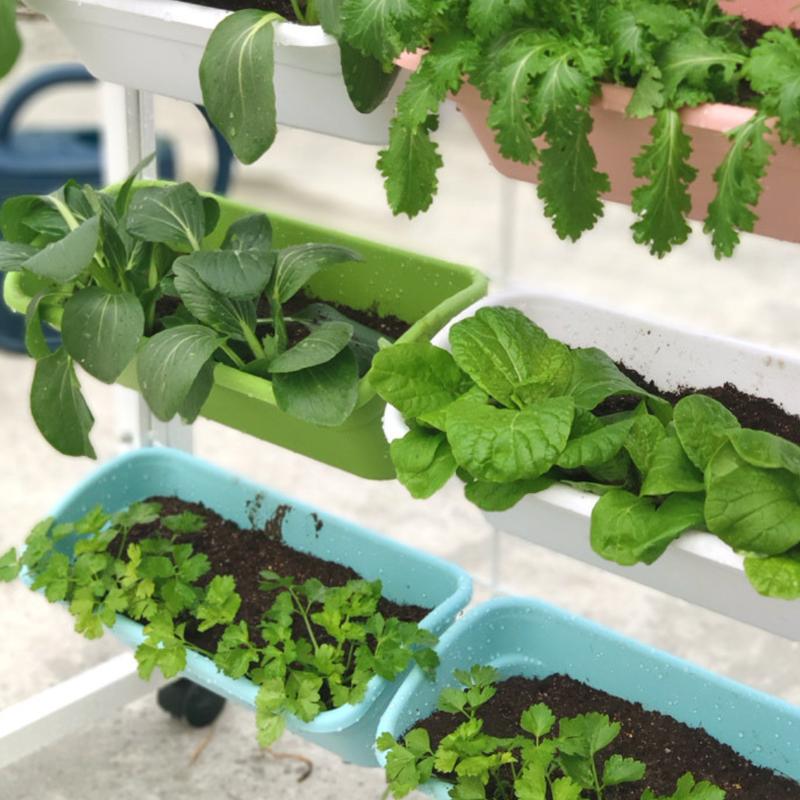 Product Introduction of Aum Garden Vertical Planter Wall Durable For Garden Balcony 4 Tier Planter With Wheels Movable 12