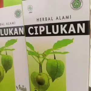 Kapsul Herbal Daun Ciplukan Ceplukan Cecendet