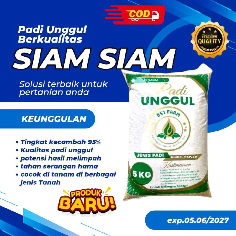 BENIH PADI SIAM SIAM KEMASAN 5KG KUALITAS BENIH PADI UNGGUL 0