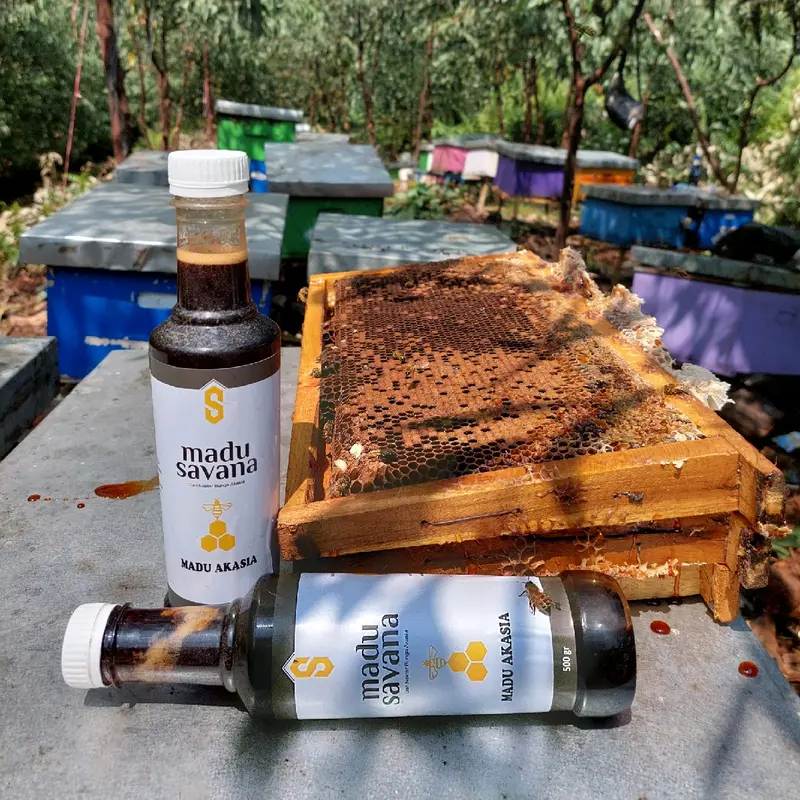 PROMO MADU HUTAN AKASIA SUMATERA BELI 2 GRATIS 1 Honey Kental Asam Coklat madu  murni 6