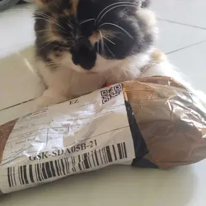 (60 BIJI SENDOK) SENDOK MAKAN POLOS 60PCS SENDOK MAKAN