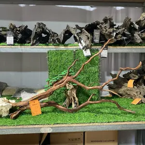 TEKAO Akar Rasamala Size XL Akar Rasamala untuk Dekorasi Taman dan Aquascape