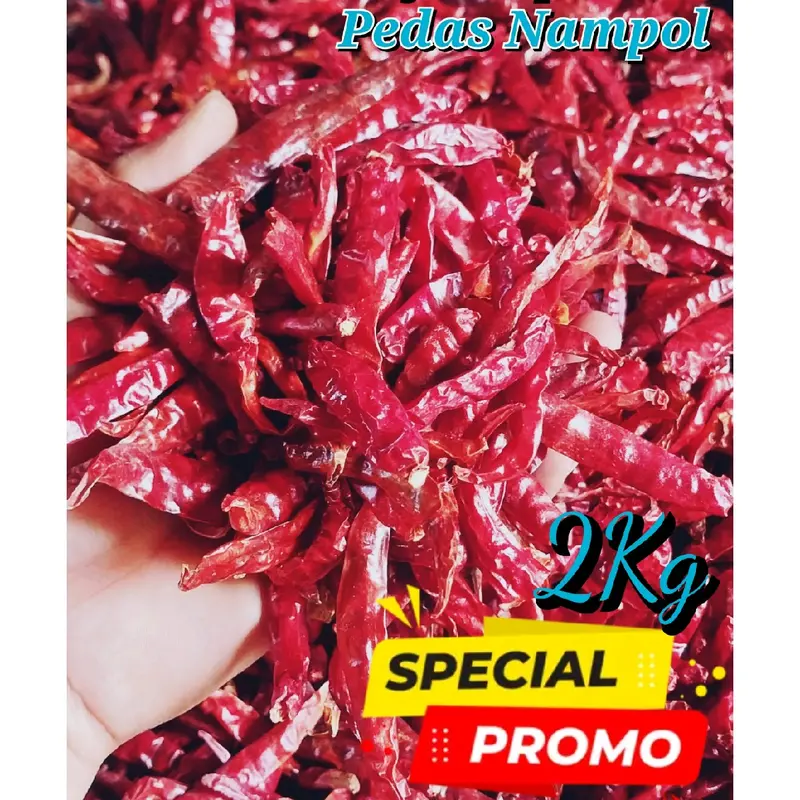 [2kg] Cabe Rawit Merah Kering MEDIUM Teja Japlak impor Super Pedas Food Goreng 0