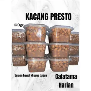 umpan bawal kacang presto target babon