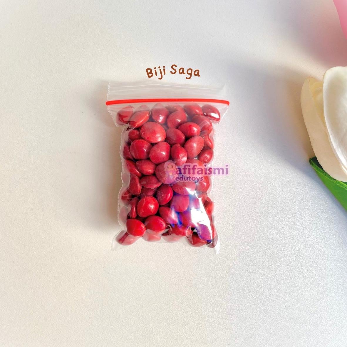 Bahan Kolase Prakarya Anak Biji bijian - Biji-bijian Ecer Satuan TERLENGKAP - Toys