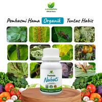 Gambar Pestisida Nabati Organik MANGGROW 100 ml – Pembasmi Hama Alami untuk Semua Tanaman dari Manggrow Official Shop Kab. Sukoharjo 5 Tokopedia