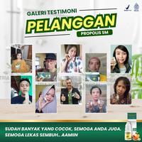 Gambar Herbal Sinusitis, Radang Sinus, Pilek Menahun, Infeksi Sinus, Polip Hidung, Hidung Bau, Benjolan Didalam Hidung, Penghilang Sinusitis Anak dan Dewasa - PROPOLIS SM Perawatan Hidung dari Tria Herbal Store Kota Administrasi Jakarta Barat 5 Tokopedia