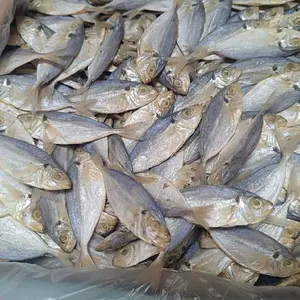 ikan asin selar belitung atau selar kecil