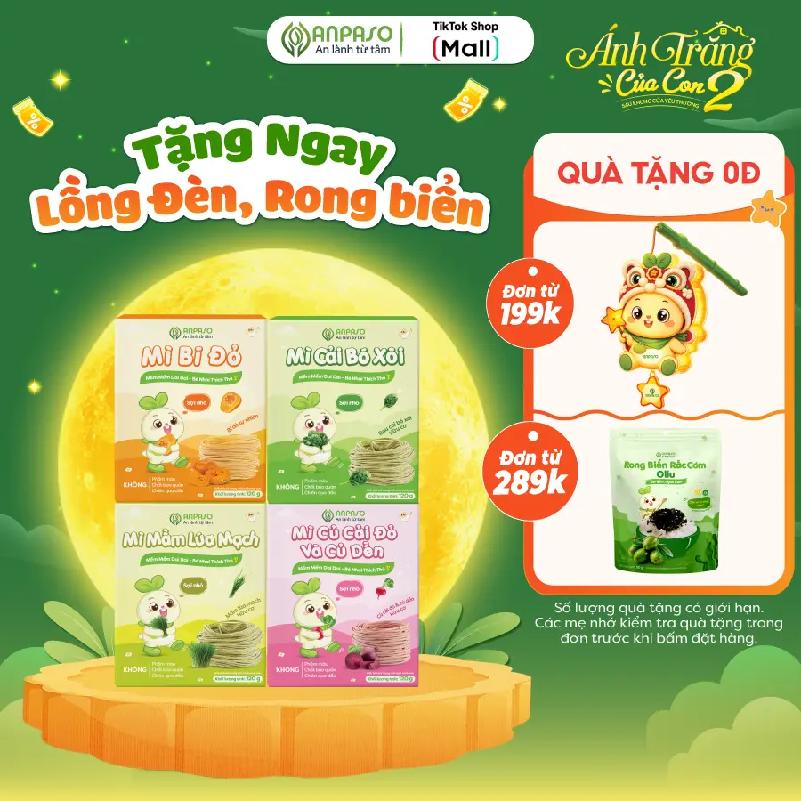 Mì Ăn Dặm Cho Bé Anpaso - Đồ ăn dặm cho bé từ rau củ - Có thành phần rau củ hữu cơ như cải bó xôi, mầm lua mạch