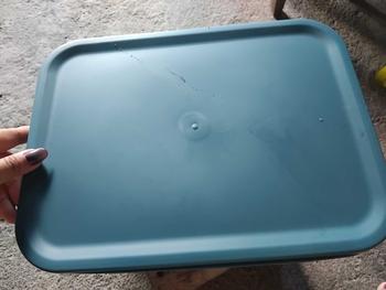 Product Review of FURNITUR88 Kotak Penyimpanan Plastik Serbaguna Keranjang Plastik Dengan Tutup Bahan Plastik Pilihan Warna Putih Biru Kuning from C**a 1