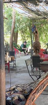 Product Review of Lồng khuyên thái tử lồng khuyên nhựa trung quốc đầy đủ phụ kiện (Tặng kèm áo) from N**i v**t n** 0