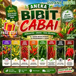 Bibit Tanaman Sayuran Cabai Pelangi Berkualitas Isi 100 Benih