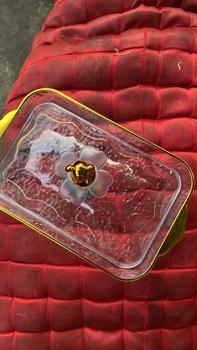 Product Review of SET Nampan Tray Mewah Nampan Dengan Pegangan Handle Gold Snack Fruit Tray Tempat Penyimpanan Kue - PMJ203 Kitchenware Makan from P**a 0