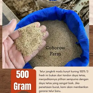 TELUR JANGKRIK MADU KUNYIT 500 gram