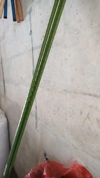 Product Review of Plant Stake 11 mm x 150 cm Ajir Tanaman Takiron Penyangga Turus Modern Lanjaran from j**3 0