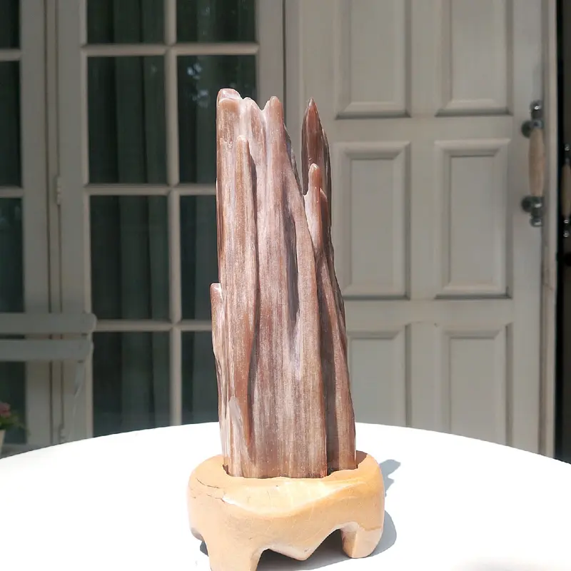 Batu Fosil Kayu Petrified Wood Agate Grade High Quality Pola Coklat 2