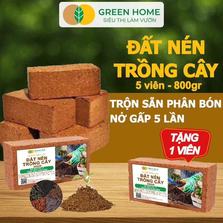 Mua 5 tặng 1 - Đất Trồng Cây GreenHome Viên Nén 800gr Trộn Sẵn Phân Bón Nở Gấp 5 Lần Trồng Rau Hoa Cây Kiểng