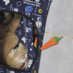 Mainan Catnip Kucing Bentuk Buah Lucu Anti Stress Anabul Aerizoo