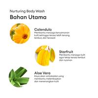 Gambar Sensatia Nurturing Body Wash - 500mL dari Sensatia Kota Administrasi Jakarta Timur 3 Tokopedia