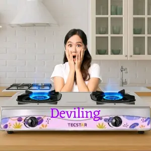 KOMPOR STAINLESS 2 TUNGKU TECSTAR | Kompor Stainless Tecstar