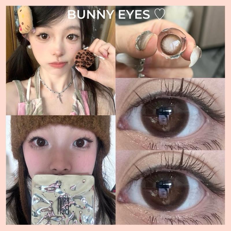 Kính Áp Tròng Lens Nâu Red Bean Hazelnut Choco Tự Nhiên Size 14.2mm Độ Cận Từ 0.00 Đến 6.00 Độ Tặng Kèm Khay Dụng Cụ Đeo - Bunny Eyes contact