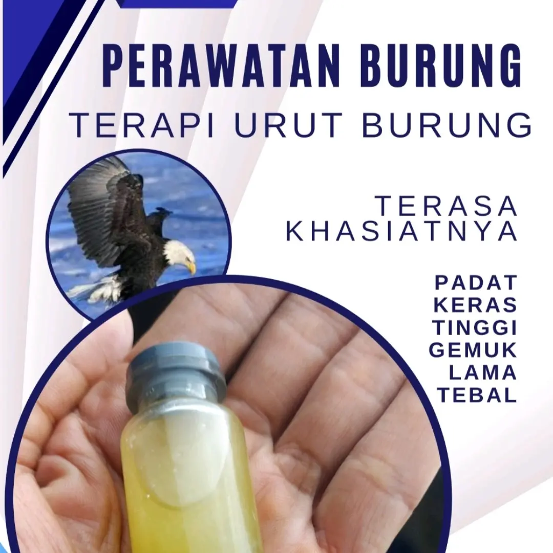 Buku edukasi kesehatan burung