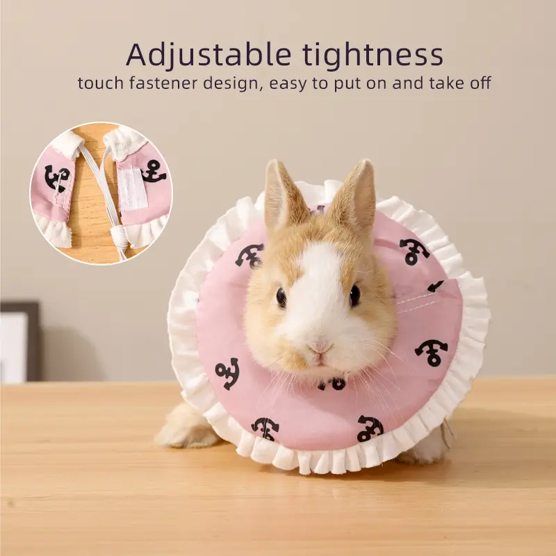 Hamster Cone Recovery Collar After Injury Anti-Lick Anti-bite Pet Protection Collar For Small Animal Elizabethan Collar For Guinea Pigs Chinchilla