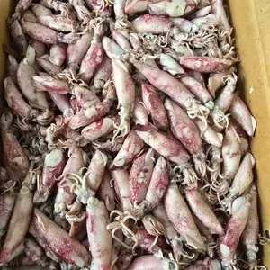 ikan asin cumi sotong premium