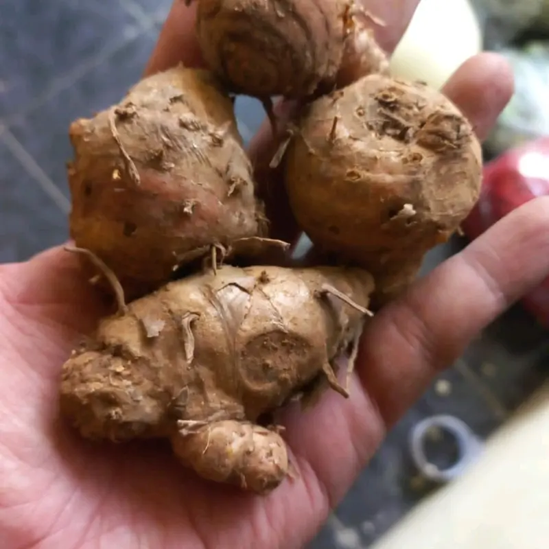 Kunyit Biang Kemasan 1 kg 0