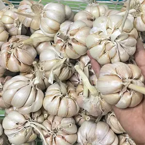 1kg bawang putih honan bersih awet tahan lama