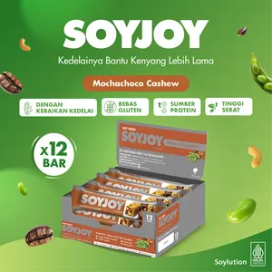 SOYJOY Snack Bar Kedelai Mochachoco Cashew 30gr - 1 Box (12 Bar)