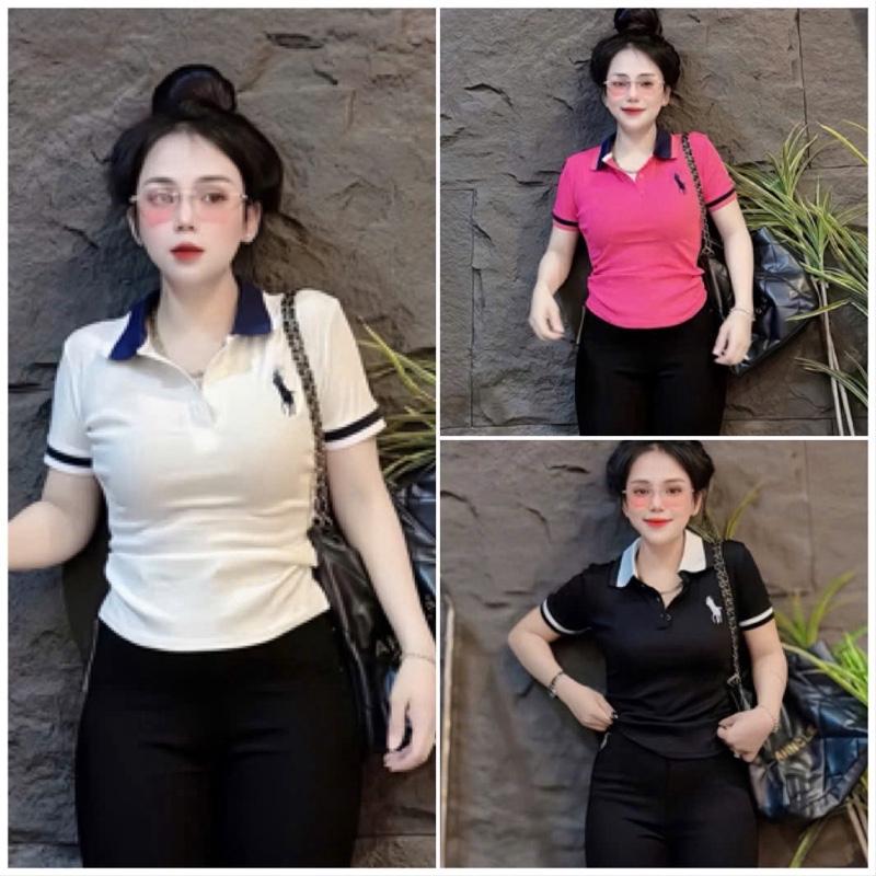 Áo thun form ôm cổ polo phối sọc Bigsize 45-85kg (1201) chất liệu thun tăm vạt bầu hack dáng dễ phối đồ